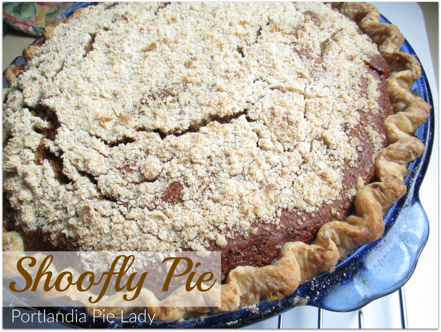 Shoofly Pie: Sweet dark molasses filling baked in a buttery crust. This is an Mennonite inspired pie, enjoy it a la mode as you shoo those flies away.