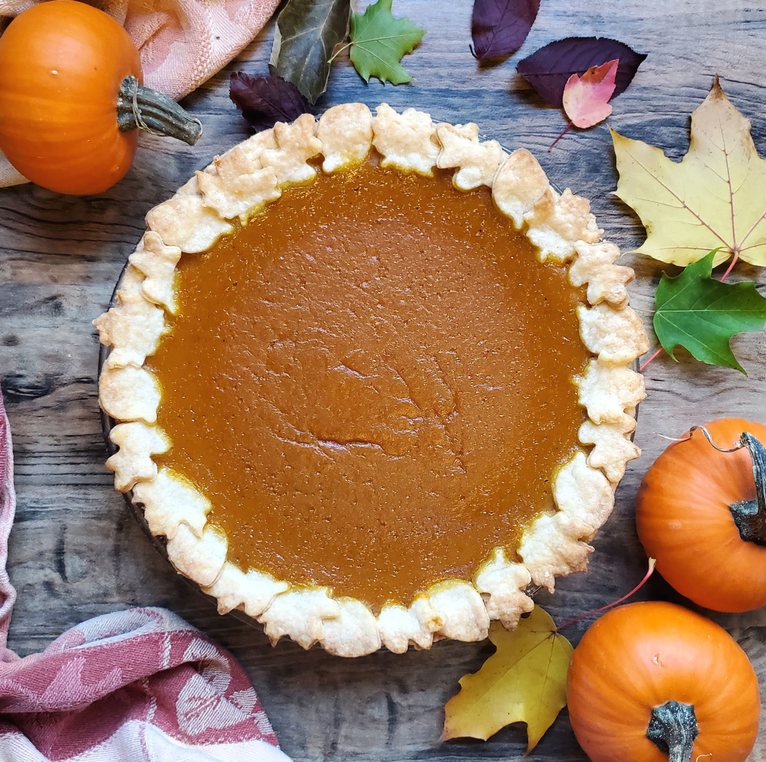 Jazz up your pumpkin pie game with a new spice (mace), more eggs, and you never have to worry about not having evaporated milk on hand again.