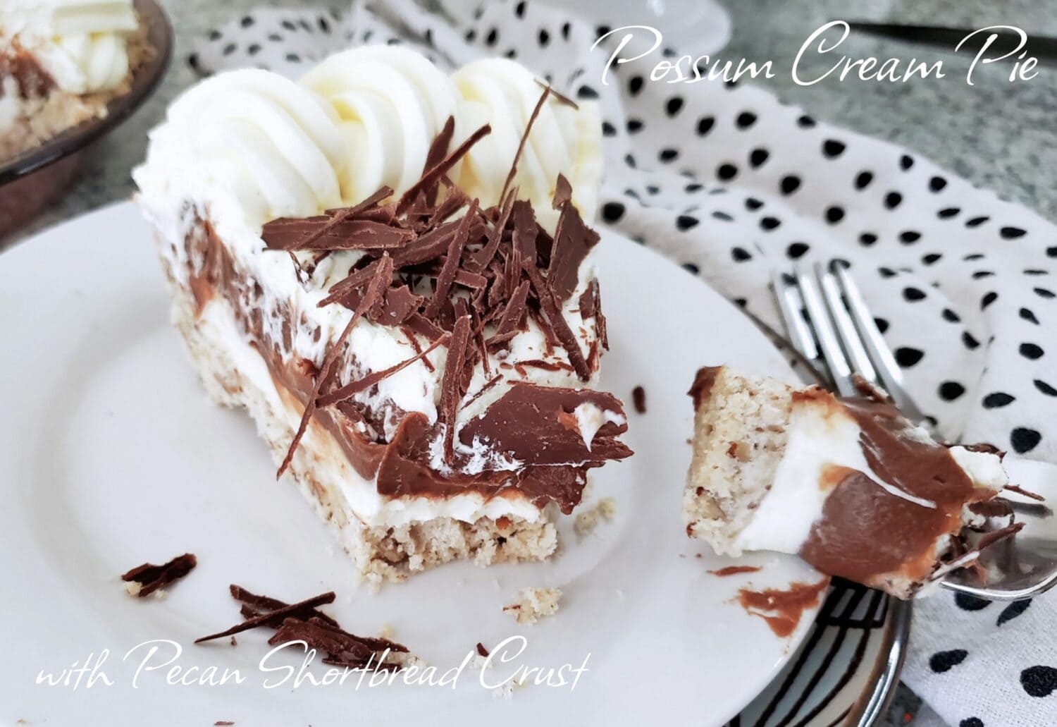 Hidden layers of luscious cream cheese filling, decadent homemade chocolate pudding, hiding under whipped cream in a pecan shortbread crust.