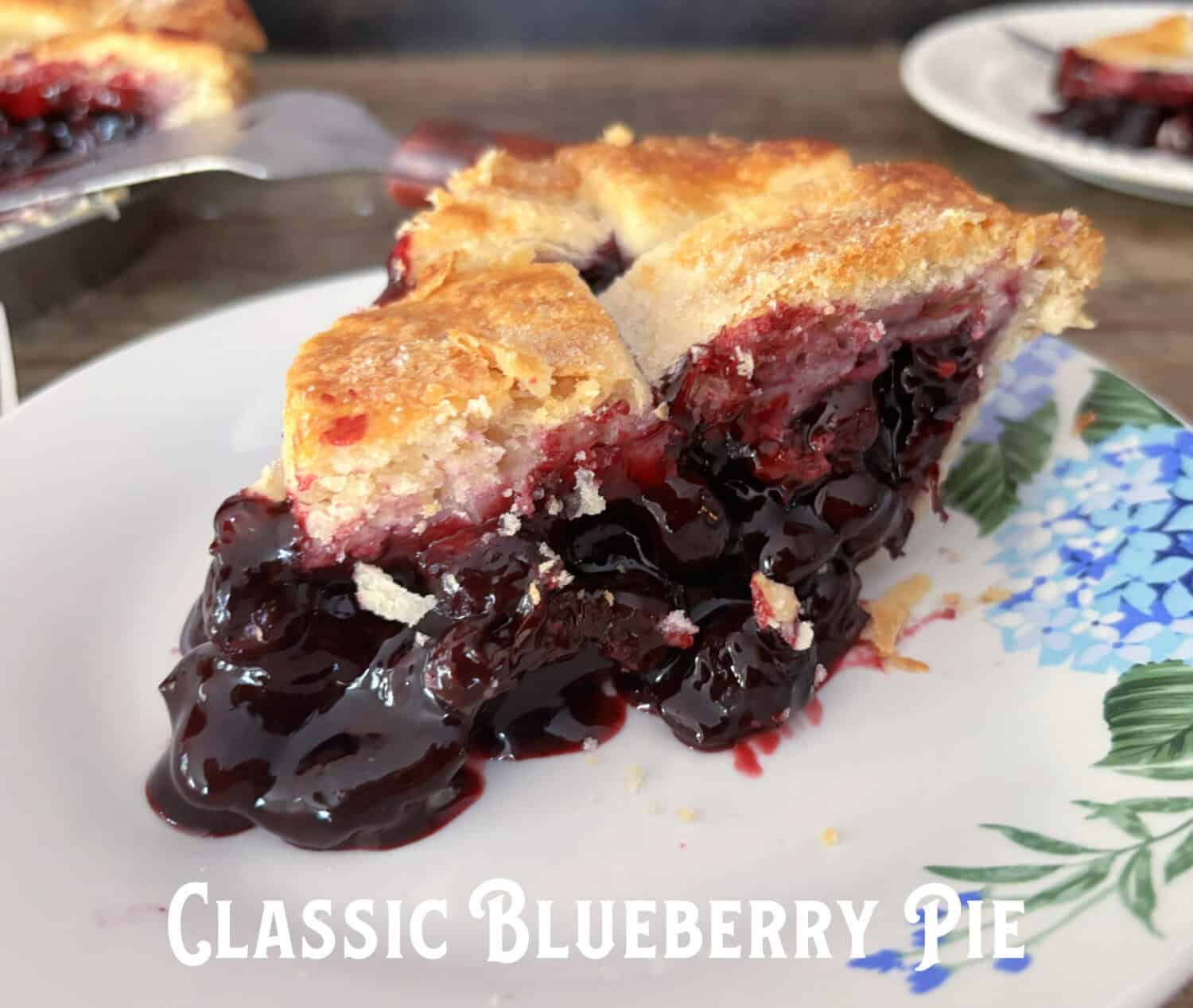 Classic Blueberry Pie