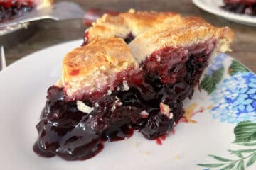 Classic Blueberry Pie
