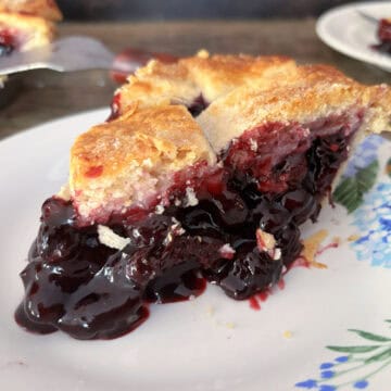 Classic Blueberry Pie