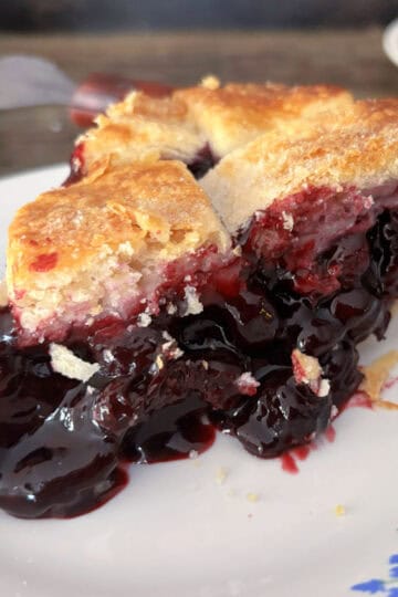 Classic Blueberry Pie